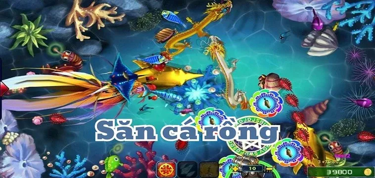 Cách Chơi Bắn Cá Rồng Tại 8KBet Siêu Đỉnh Siêu Vui