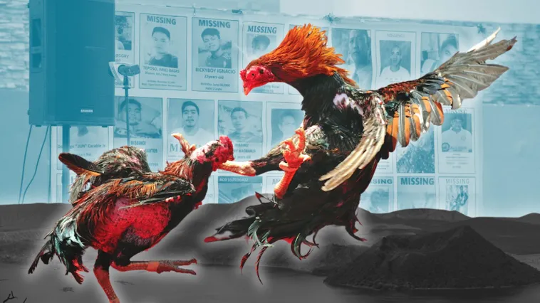 Cách Chơi Đá Gà Sabong Tại 8KBet Kịch Tính Và Hấp Dẫn