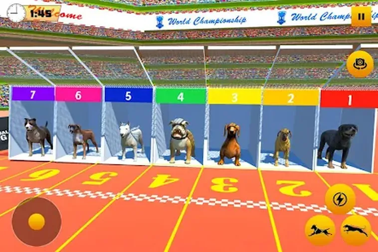 Cách Chơi Game Nhanh Đua Chó Tại 8KBet Cực Hấp Dẫn